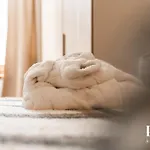 Reve Blanc - Poluc Bilocale Apartment *
